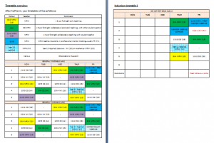 PGCE subject mentoring